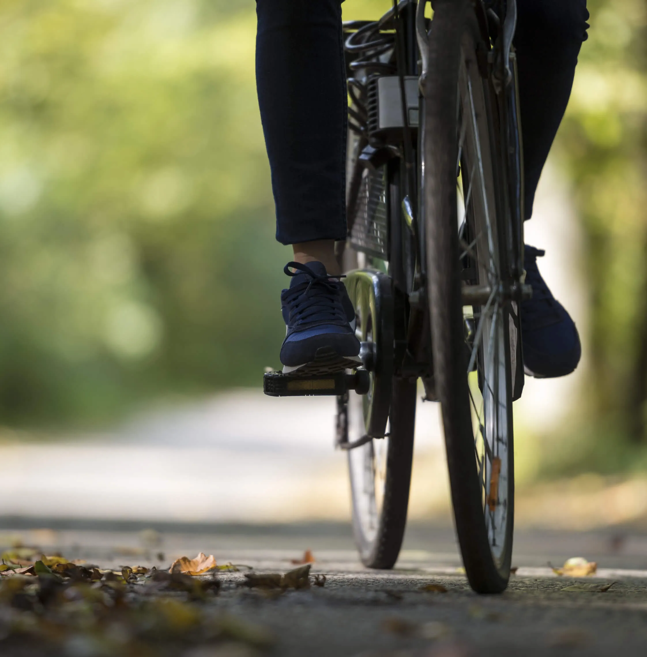 dia de la bicicleta